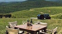 Private Day Trip from Thessaloniki to Vergina, Naousa, and Edessa
