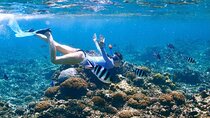 Full-Day Racha Yai Private Scuba Diving Course