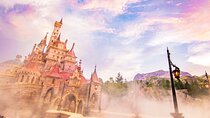 Tokyo Disneyland Entry Ticket with Tokyo Subway Ticket