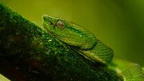 Experience the Adventure Explore the Monteverde Cloud Forest