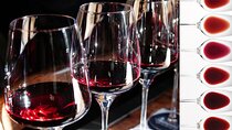 Milan: sensory journey to discover 3 unmissable red wines