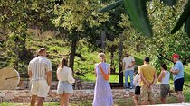 North Corfu Olive Tour With Olive oil Tasting & Meze