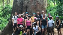 Moshi City and Rau Forest Walking Tour