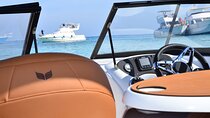 Private Speedboat Dolphins and Snorkelling Cruise in Hurghada