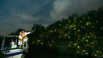 Kuala Selangor Fireflies Tour with Batu Caves & Fort Altingsburg