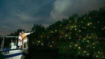 Kuala Lumpur Famous Landmarks & Kuala Selangor Fireflies Tour
