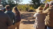 Mosi-oa-Tunya National Park, Rhino game drive