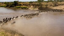 5 Days Safari Camping Tour