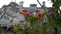Lisbon Sintra Day Pass 1 Day Ticket