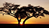 2 Days Hluhluwe Imfolozi Safari Tour