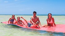 Island Adventure Eco Tour – Explore Key West’s Hidden Backcountry