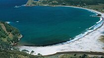 Auckland Region | Multi Island Hopper Package Tour