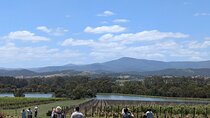 Cruise Ship Friendly Yarra Valley Wine Tour with Port Pickup