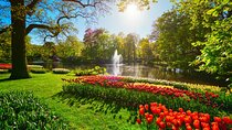 Private Floral Adventure from Amsterdam