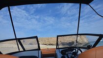 Private Speedboat to Watch Dolphins With private transfer