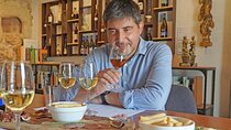 Cultural coastal trip with winery visit from Barcelona