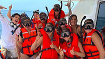 Swim & Snorkel Tour in Puerto Vallarta (Private groups/yacht)