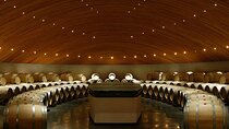 Full Day Private Clos Apalta tour with Lunch and Montes Tour