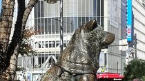 Hachikō, Hachi, Tale of a Faithful Dog, Mystery Tour 