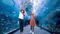 Dubai Aquarium and Penguin Cove with Transfers Option