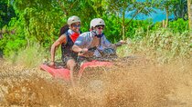 Atv Ride Into the jungle with cave coffee & chocolate tasting
