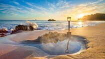 Coromandel Day Tour From Auckland