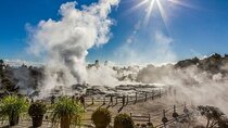 Waitomo Glow Worm Caves & Te Puia - Rotorua's Geothermal Valley