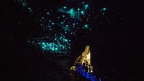 Waitomo Glow Worm Caves 