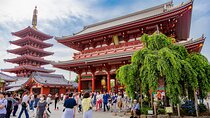 Tokyo Private Sightseeing Tour by Car - English speaking driver