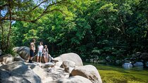 Daintree Rainforest and Cape Tribulation Day Tour from Cairns