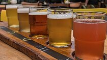 Albanian Craft Beer Tasting in Tirana with a Mix Pair Plater