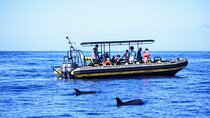 10 Passenger Max Customizable Private Charter 