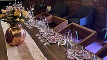 The 5 most awarded wines of San Miguel de Allende Tasting Pairing