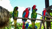 La Hacienda Park Tour 