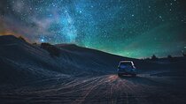 Doha Night Desert Safari Stargazing Camel Ride and Dune Bashing 