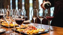  Wine Tasting Private Tour Cape Town 