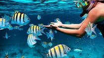 Bali Blue Lagoon Snorkeling with Waterfalls Tour - all included