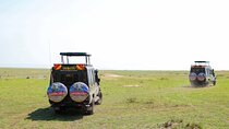 3 Day Masai Mara Migration 2025 | Daily Budget Safaris on 4×4 