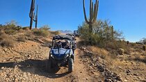 Sonoran Desert, Guided UTV Sand Buggy Adventure Tour Phoenix