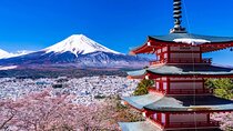 1 Day Private Tour Fuji FujiQ Kawaguchiko Pagoda 