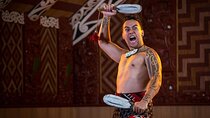 Waitomo Glow Worm Caves & Te Puia (Rotorua) Private Tour