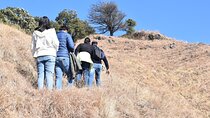 Benog Trek into the Wild