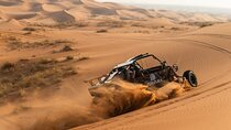 Dune Buggy Experience and Dinner at Zerzura