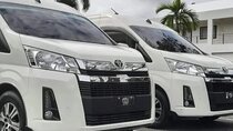 Exclusive Private Transfer: Punta Cana Airport to Bávaro Hotels