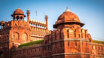 Old and New Delhi Private Day Tour with Options