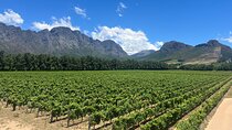 Cape Premier luxury Winelands tour up to 10 people