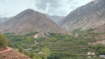 Private Atlas Mountain Discovery Day: remote Amazigh village