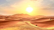 6 Day Silence and Stars in the Unexplored Sahara Private Tour