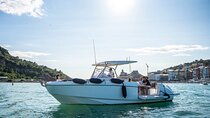 Private Boat Tour Gulf of Poets Half day - Flyer 9