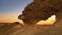 North and West of Qatar Full Day Private Tour